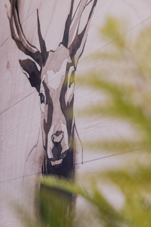 Nordic Style - 5 Min Dall'arena & Parcheggio Apartment Verona